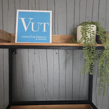 Apartment Roof - Vut4217as