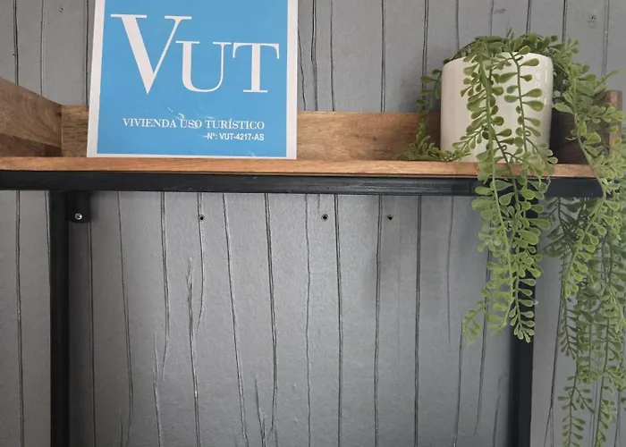 Apartment Roof - Vut4217as